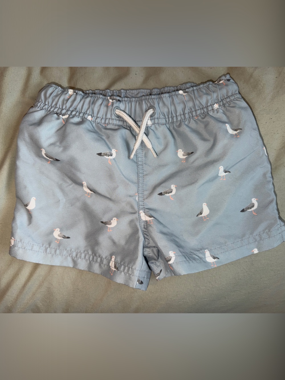 Little Planet- Toddler Boys- Blue Seagull Print Swim Shorts